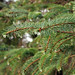 Sandy Matlock Photo 14