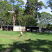 Jason Peacock Photo 23