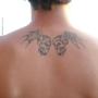 Gary Beebe Photo 29