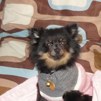 Donna Sampson Photo 25