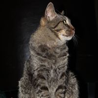 El Mcintosh Photo 5