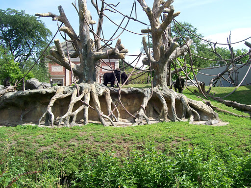 Joyce Burnett Photo 10