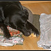 Julie Bone Photo 13