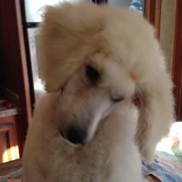 Nancy Doty Photo 30