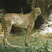 Connie Quick Photo 9