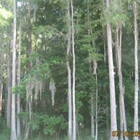 Jane Wiley Photo 8