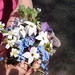 Leila Flowers Photo 2