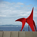 Edward Weiss Photo 21