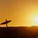 Jeff Waddell Photo 8