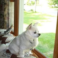 Bonnie Chandler Photo 1