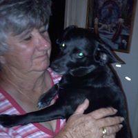 Dorothy Howard Photo 18