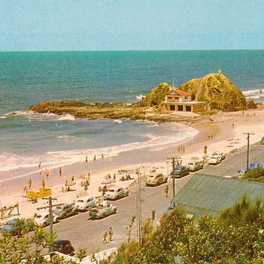 Rodney Cook Photo 24