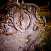 Hugh Clements Photo 12
