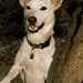 Lisa Ballard Photo 15