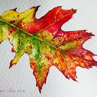 Dianne Foreman Photo 7