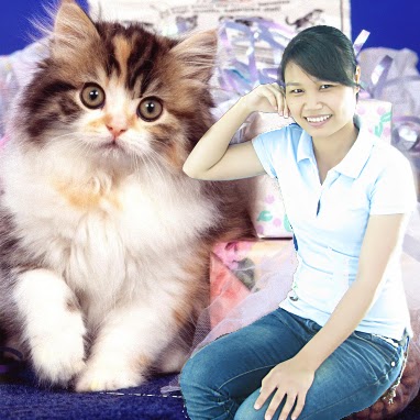 Tam Dinh Photo 38