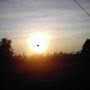 Terri Short Photo 28