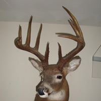 Larry Goodman Photo 26