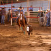Hank Roper Photo 6