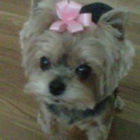 Carolyn Roberson Photo 10