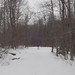 Sue Carpenter Photo 32