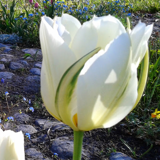 Marianne Rasmussen Photo 15