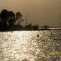 Barbara Welch Photo 30