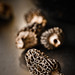 Michael Morel Photo 21