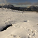 Jeannie Snow Photo 14