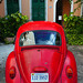 Virginia Segovia Photo 1