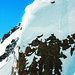 Jeff Lyon Photo 44