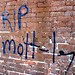 Thomas Mott Photo 24