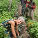 Suzanne Kerr Photo 32