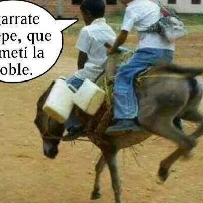 Leopoldo Franco Photo 25