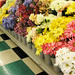 Michael Silk Photo 8