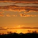 Kathy Panos Photo 3