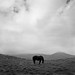 Max Borges Photo 15