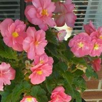 Ruth Bowers Photo 20