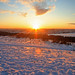 Jan Ray Photo 15