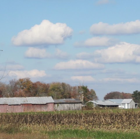 Barbara Bohlen Photo 15