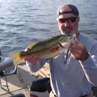 Kenneth Schaefer Photo 27