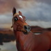 Sarah Wellman Photo 10
