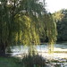 Lawrence Potter Photo 20