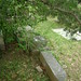 Ann Dickerson Photo 13