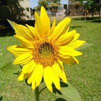 Sue Beyer Photo 9