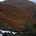 Janet Gill Photo 12