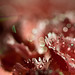 Kristy Sweet Photo 10