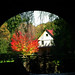 Glen Patrick Photo 16