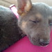 Brenda Burleson Photo 8