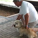 Glen Schultz Photo 16